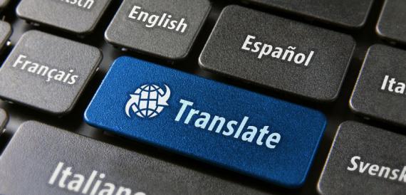 drupal 7 custom entity translation